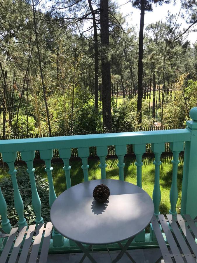 Un Nid Dans La Pinede Villa Lacanau Eksteriør bilde