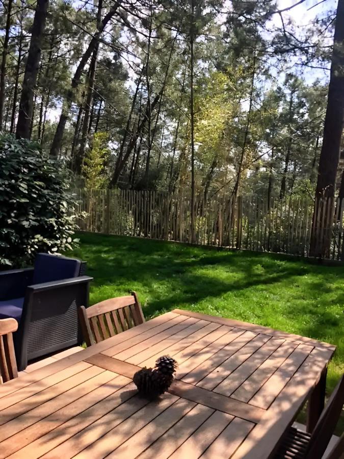 Un Nid Dans La Pinede Villa Lacanau Eksteriør bilde